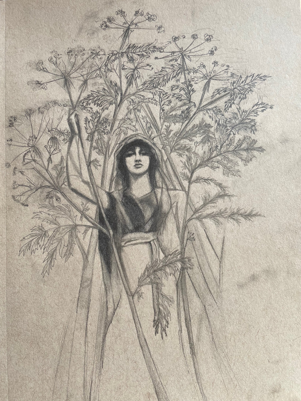 Hemlock original drawing  image 1