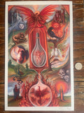 Wands print (Tarot Minor Arcana)